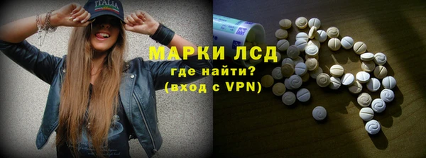стафф Арсеньев